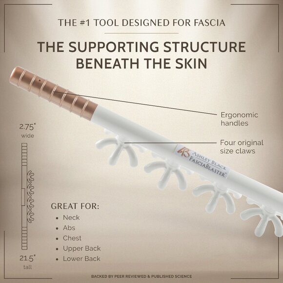 Ashely Black Fascia Blaster Tool - Picture 1 of 9